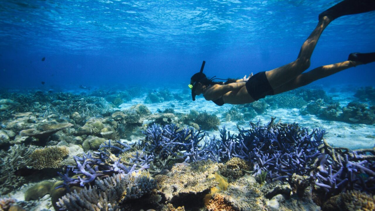 Enjoy snorkeling at two locations.