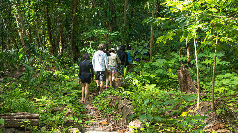 Trekking through the jungle for the waterfall
