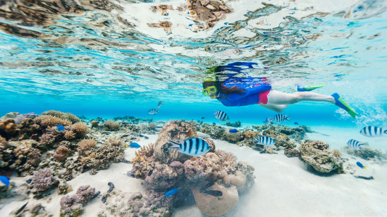 Snorkeling on coral reefs